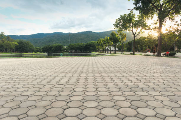 Best Driveway Paving Near Me  in Choudrant, LA